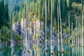 The sunken forest of Lake Kaindy.